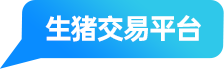 中国养猪网